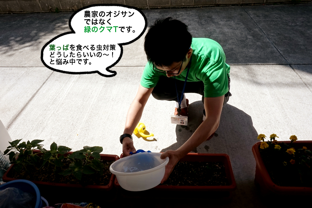 本当に農家でアルバイトしたことあります。