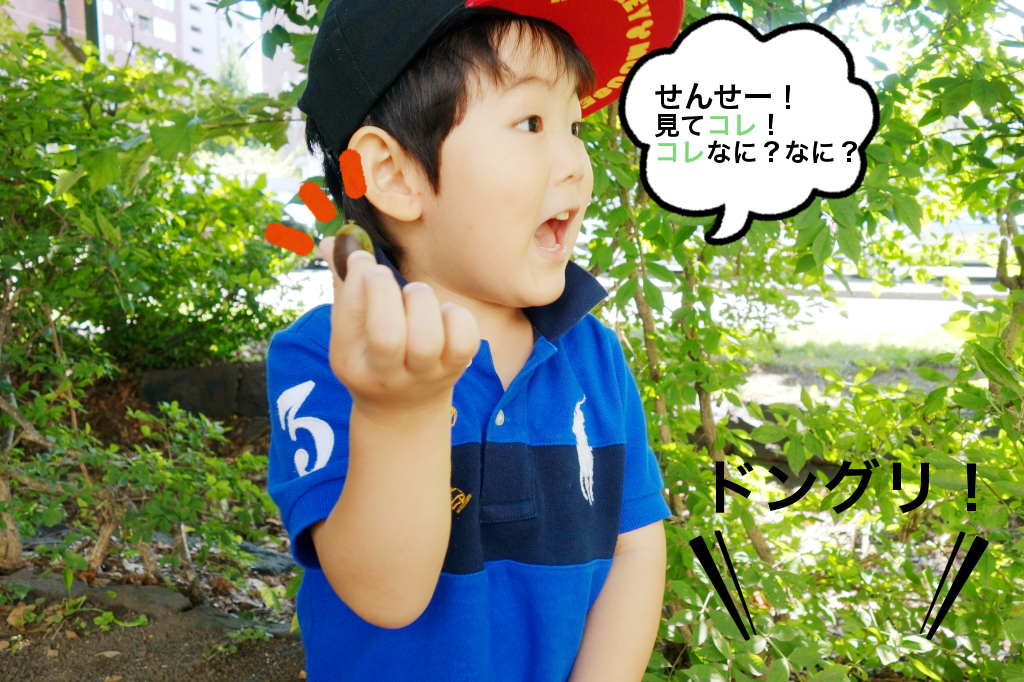 早速何かを見つけた!