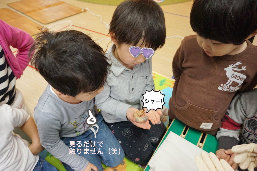 まあまあな質量感です