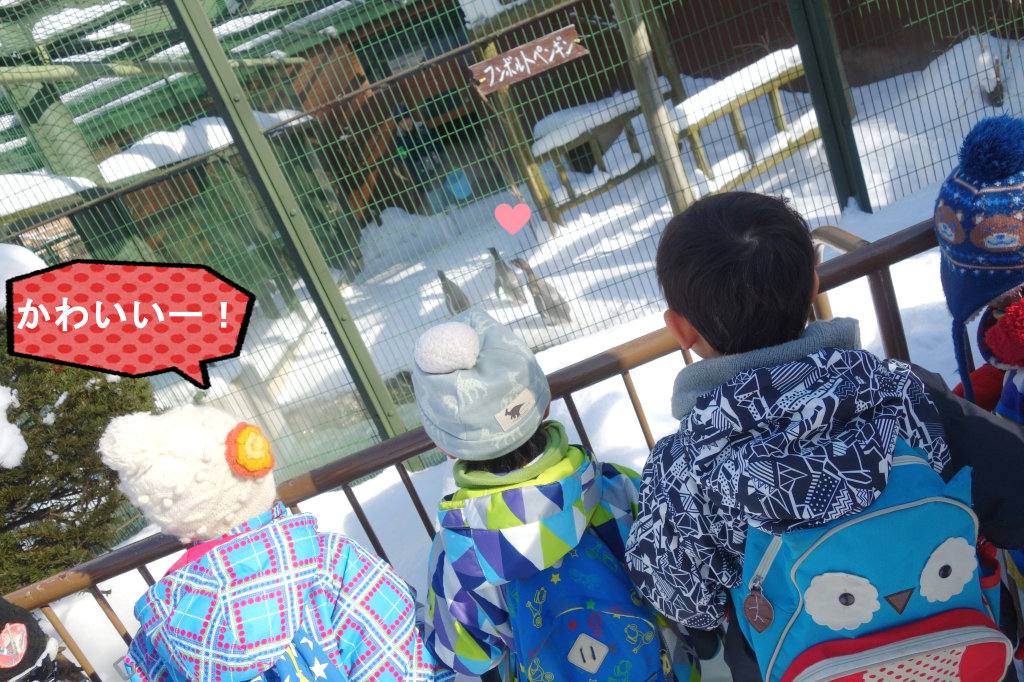 圧倒的人気を誇るペンギンちゃん達!かわいいですね💛
