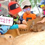 大人気なうさぎちゃん♥いっぱい食べてくれたよ～っ