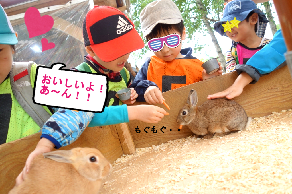 大人気なうさぎちゃん♥いっぱい食べてくれたよ~っ