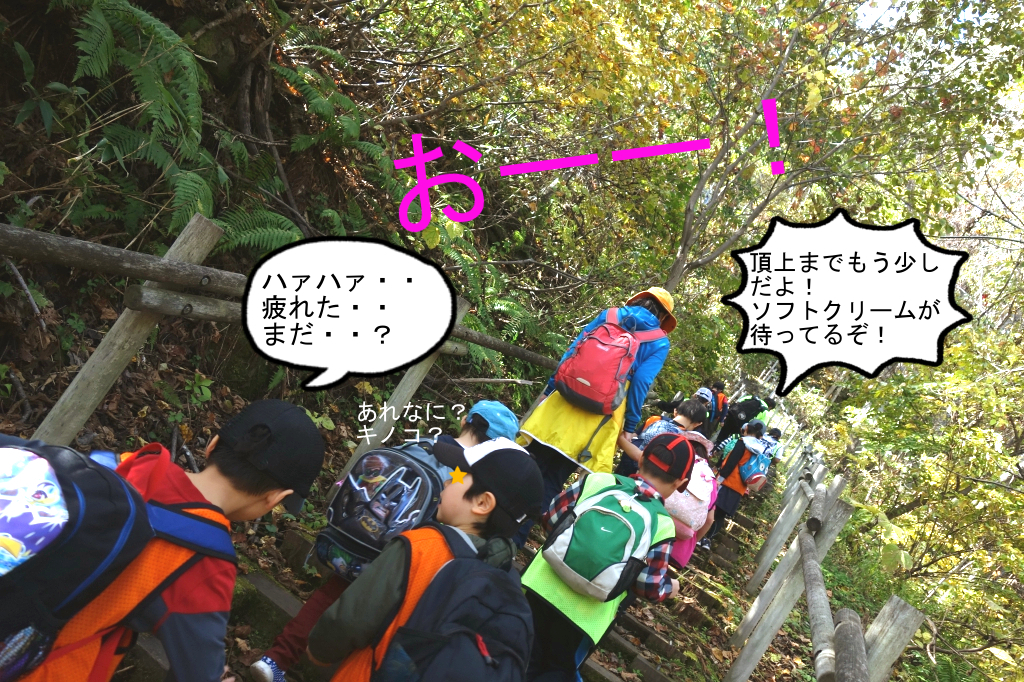 全長600M程の登り道