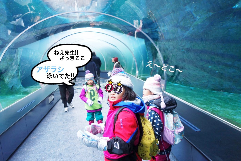 シロクマも来るんだって