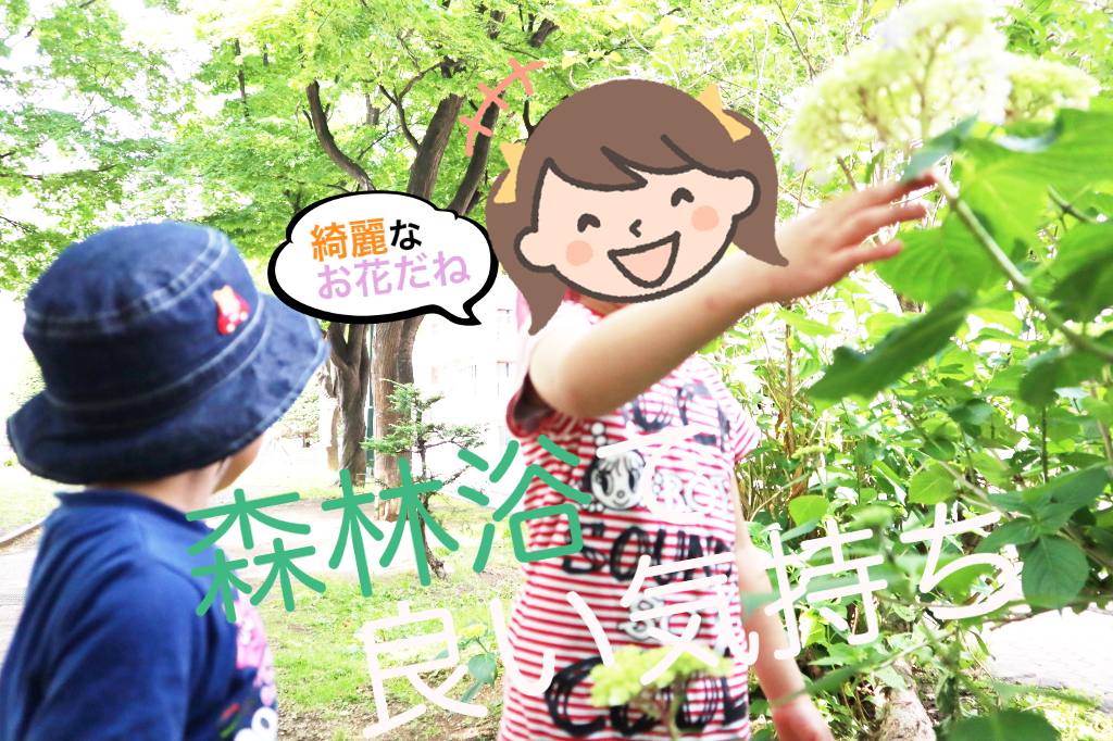 カタツムリいるかな