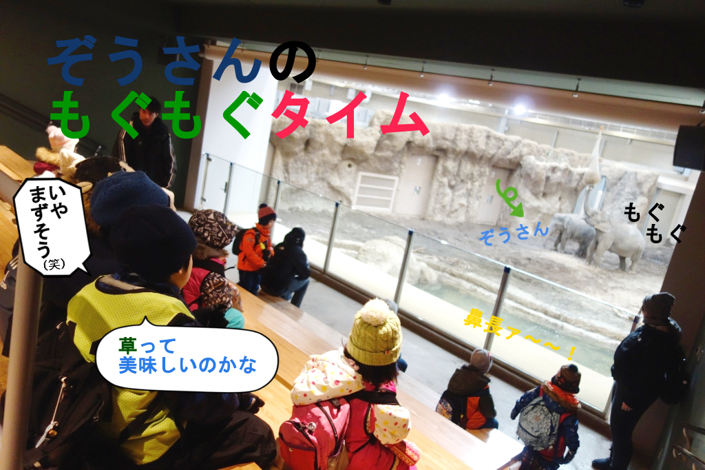 動物さんたち大集合だワイワイ イベント Joykids ジョイキッズ 動物さんたち大集合だワイワイ イベント Joykids ジョイキッズ