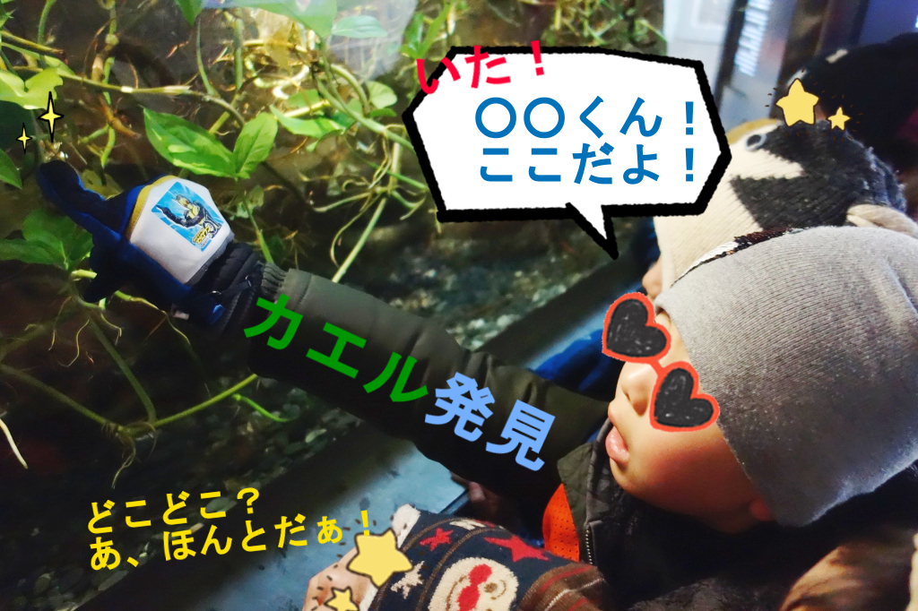 動物さんたち大集合だワイワイ イベント Joykids ジョイキッズ 動物さんたち大集合だワイワイ イベント Joykids ジョイキッズ